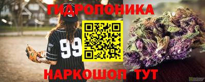 шишки Бузулук