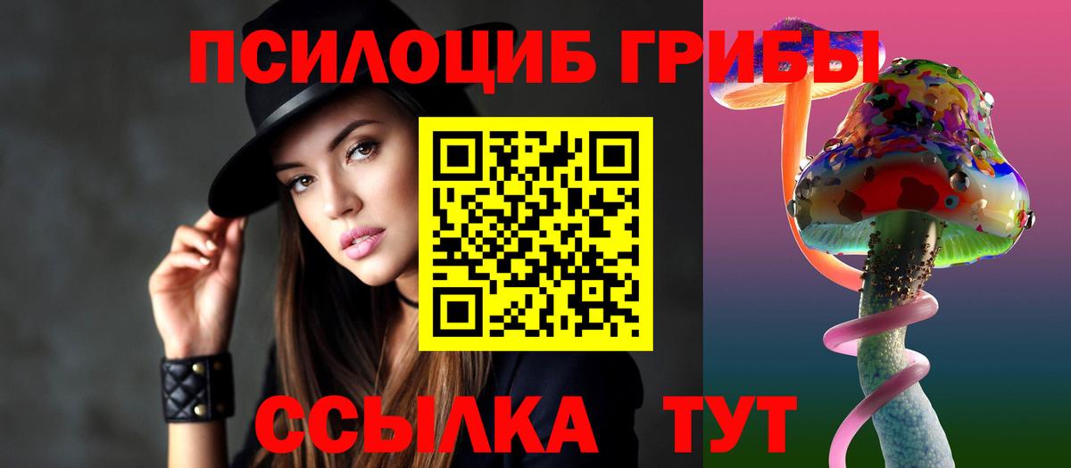 Галлюциногенные грибы Psilocybe  Вход с VPN  Саяногорск 